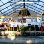 XXIX PIESZA PIELGRZYMKA DO KRYPNA