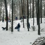 kulig scholi i ministrantów