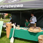 IV Festyn Rodzinny w Parafii