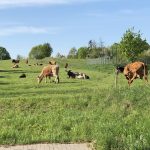 I Rajd Motocyklowy św. Krzysztofa 2019