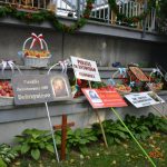 37 Piesza Pielgrzymka Rodzin do Sanktuarium MB Pocieszenia w Krypnie